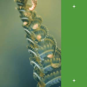 Music for Spring Rest - Fantastic Jazz Ballad - Playful Jazz Beats