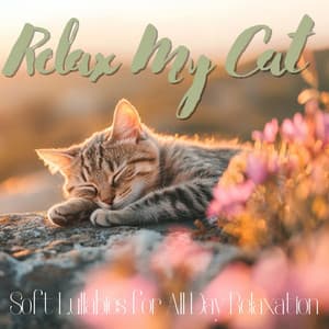 Relax My Cat - Soft Lullabies for All Day Relaxation - RelaxMyCat