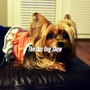 The Jazz Dog Show - Dog Jazz Sounds
