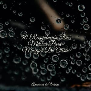 50 Recopilación De Música Para Masajes De Otoño - Cascada de Lluvia