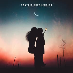Tantric Frequencies - Meditation Healing Therapy