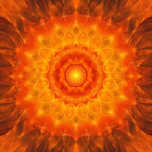 Manifest Your Gift - Meditation Sounds for Coming Into Your Life's Purpose - Terra Redwood