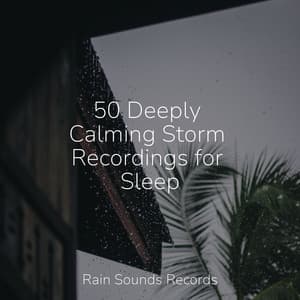 50 Deeply Calming Storm Recordings for Sleep - Soothing Sounds
