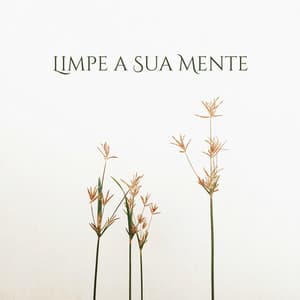 Limpe a Sua Mente: Calma e Harmonia, Sons Delicados, Relaxamento Absoluto - Academia de Música de Fundo e Ambiente