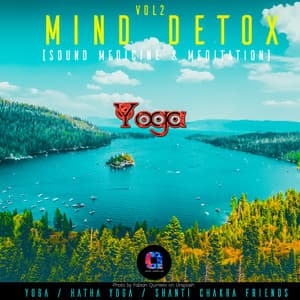 Mind Detox , Vol.2 - Hatha Yoga