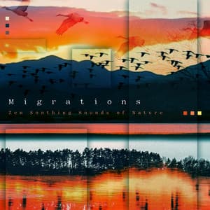 Migrations - Zen Soothing Sounds of Nature