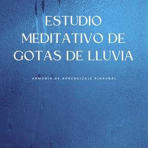 Estudio Meditativo De Gotas De Lluvia: Armonía De Aprendizaje Binaural - Latidos binaurales para estudiar