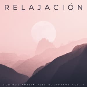 Relajación: Sonidos Ambientales Nocturnos Vol. 1 - Sonidos de la jungla
