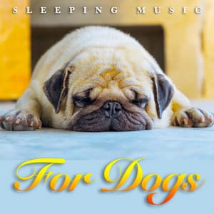 Sleeping Music For Dogs: Ambient Binaural Beats, Calm Music For Dogs Ears and Soothing Dog Music - Dog Music
