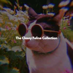 The Classy Feline Collection - Coffee House Jazz Radio