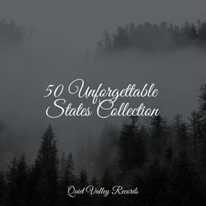 50 Unforgettable States Collection - Organic Nature Sounds