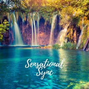 Sensational Synch - Rain Sounds Factory STHLM