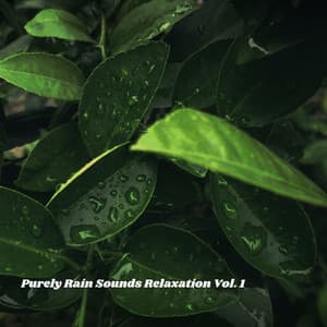 Purely Rain Sounds Relaxation Vol. 1 - Sleepy Times