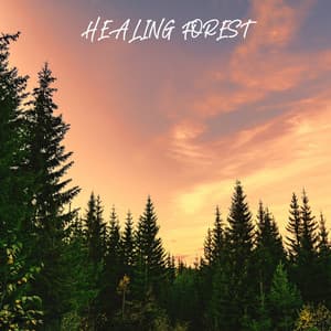 Healing Forest - Forest Sounds