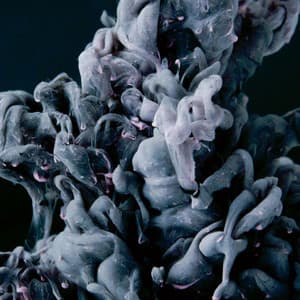 Bgm for At Home and Relaxing - Relaxing Bossa Nova Artisanal