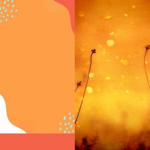 Music for Everyday Rewind - Soprano Sax Solo - Trabajar desde Casa Retro