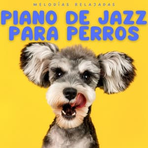 Piano De Jazz Para Perros: Melodías Relajadas - Resplandor de piano