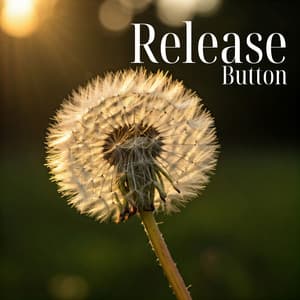 Release Button: One Click to Calm - Smoothe Sounds