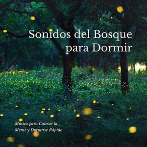 Sonidos del Bosque para Dormir: Música para Calmar la Mente y Dormirse Rápido - Naturaleza Ensemble