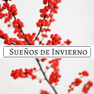 Sueños de Invierno - Canciones Instrumentales Lentas y Suaves con Sonidos de la Naturaleza Relajantes - Cama Mejor
