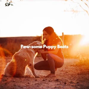 Paw-some Puppy Beats - Jazz Lounge Bar Radio