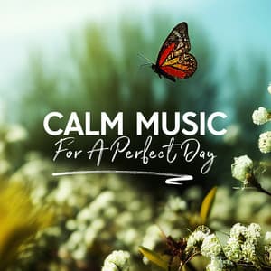 Calm Music For A Perfect Day - Rest Area Near Me