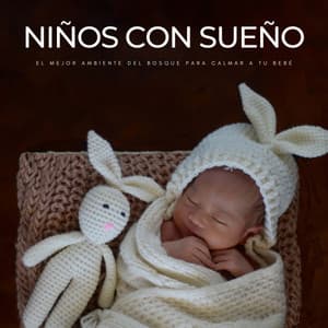 Niños Con Sueño: El Mejor Ambiente Del Bosque Para Calmar A Tu Bebé - Musica Clasica para Bebes Orchestra