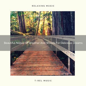 Beautiful Noises Of Weather And Woods For Delicious Dreams - Sleep Dimension