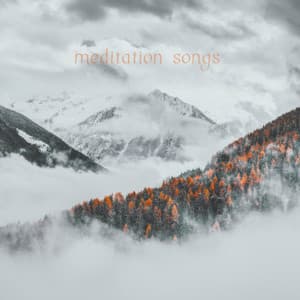 Mindful Soundscape, Vol. 2 - Meditation Songs