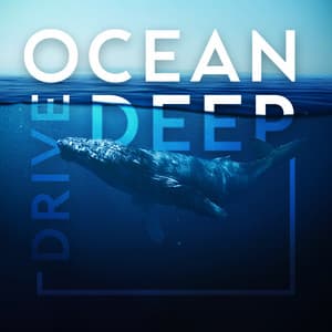 Ocean Deep Dive: Sounds of Whales and Dolphins for Sleep - Chill Out Sounds Collective