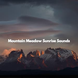 Mountain Meadow Sunrise Sounds - New Orleans Jazz Band