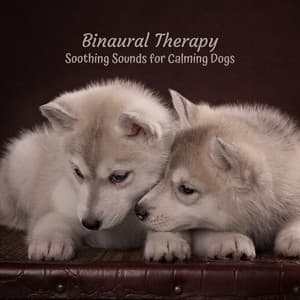 Binaural Therapy: Soothing Sounds for Calming Dogs - Soothing Air