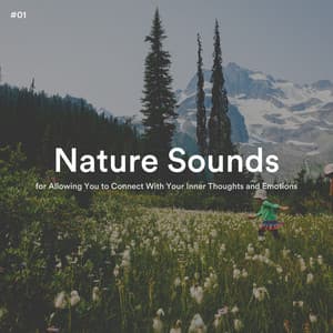 #01 Nature Sounds for Allowing You to Connect With Your Inner Thoughts and Emotions - Sleep Meditation