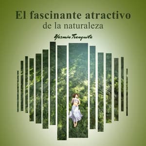 El fascinante atractivo de la naturaleza - Yazmin Tranquila