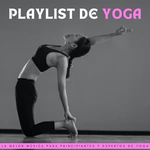 Playlist De Yoga: La Mejor Música Para Principiantes Y Expertos De Yoga - Zona de yogui