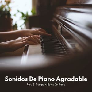 Sonidos De Piano Agradable Para El Tiempo A Solas Del Perro - Alegre Musica de Piano