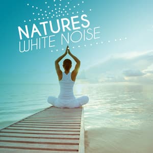Nature's White Noise - Natural White Noise