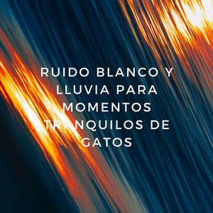 Paraíso Felino: Ruido Blanco Y Lluvia Para Momentos Tranquilos De Gatos - Ruido Blanco Tranquilo