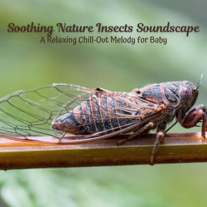 Soothing Nature Insects Soundscape: A Relaxing Chill-Out Melody for Baby - Ambient Forest