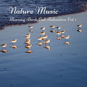Nature Music: Morning Birds Call Relaxation Vol. 1 - Relaxing Music