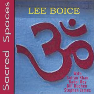 Sacred Spaces - Lee Boice