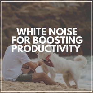White Noise for Boosting Productivity - White Noise ASMR