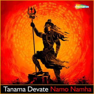 Tanama Devate Namo Namha - Vid Narayan