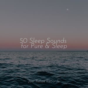50 Sleep Sounds for Pure & Sleep - Massage Therapy Music