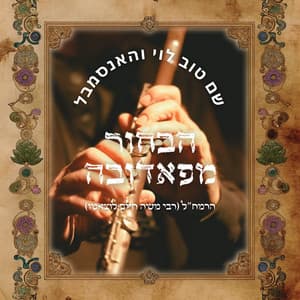 הבחור מפאדובה - הרמח"ל - Shem-Tov Levy