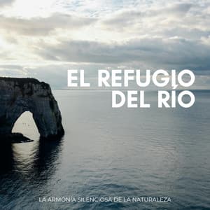 El Refugio Del Río: La Armonía Silenciosa De La Naturaleza - Los acordes de la red