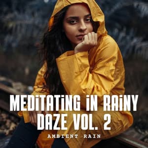 Ambient Rain: Meditating in Rainy Daze Vol. 2 - Rain Hive