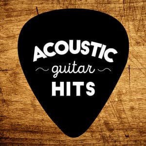Acoustic Guitar Hits - Acoustic Guitar Hits