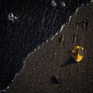 Serenity's Embrace - Soul Serenade