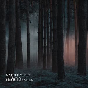 Nature Music: 15 Track for Relaxation, Meditation and Stress Relief - Total Relax Music Ambient